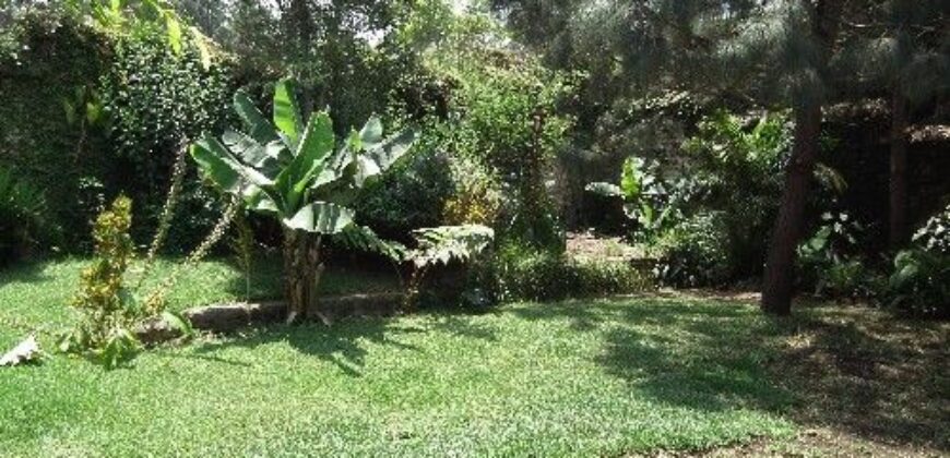 H250 – Casa 2 habitaciones sin muebles con jardín y garage para 2 vehículos