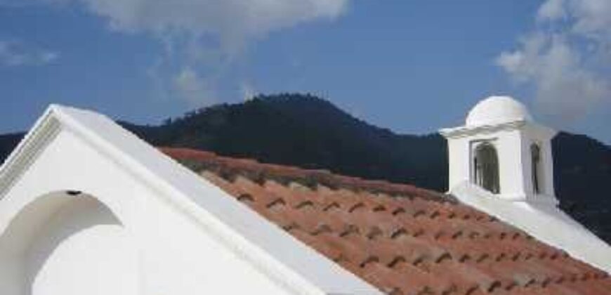 F203 – Casa En Renta 3 Habitaciones Sin Muebles