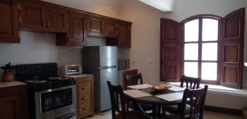 A525 – Apartamento En Renta Amueblado