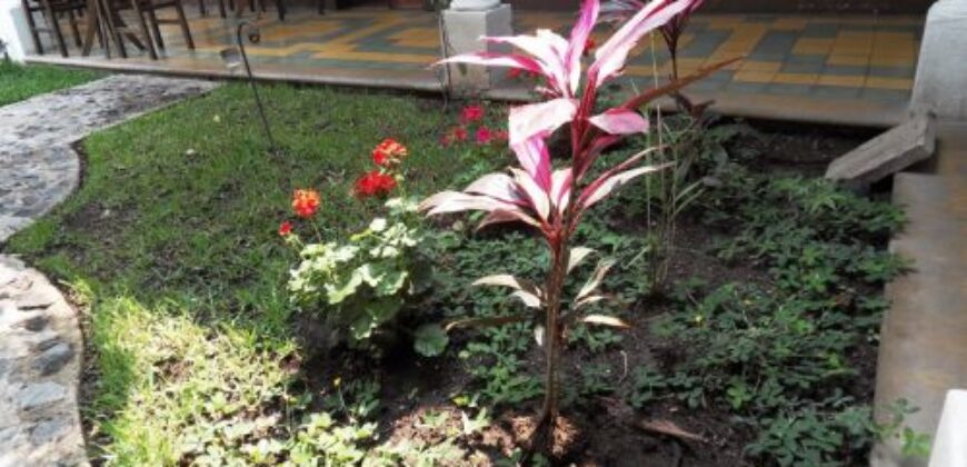 A537 – Local En Renta