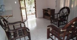 F295 – Furnished house in Pastores