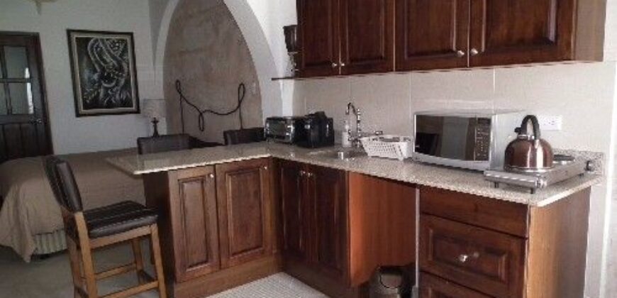 A3012 – studio for rent