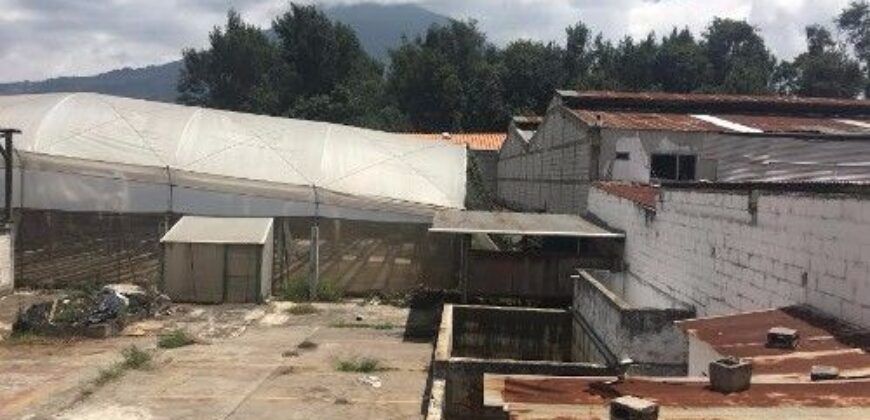 D266 – Bodega en renta en el área de Panorama