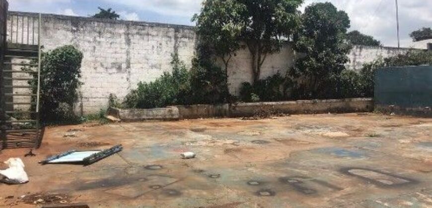 D266 – Bodega en renta en el área de Panorama