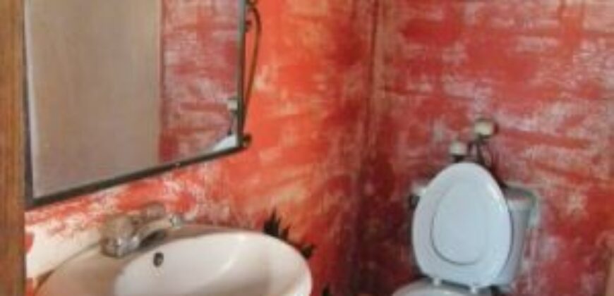 F387 – Casa en renta semiamueblada