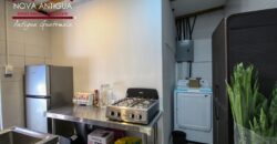 A3132 – House for sale within walking distance of the central park