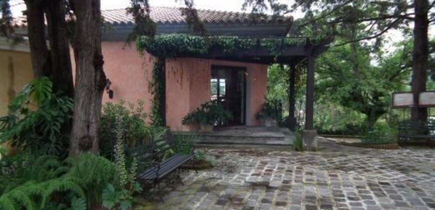 Q221 – Apartamento en renta amueblado de 2 habitaciones