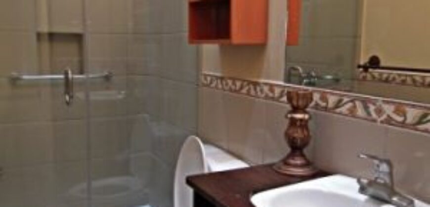 C300 – Apartment For Rent 2 Bedrooms Semi Furnished