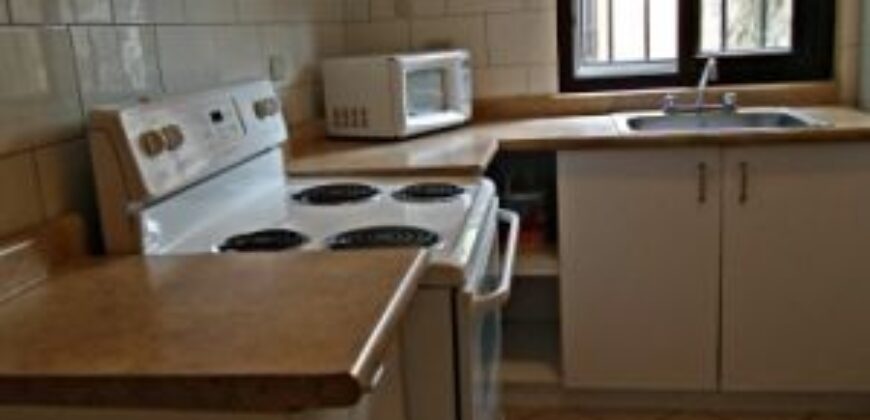 C300 – Apartment For Rent 2 Bedrooms Semi Furnished