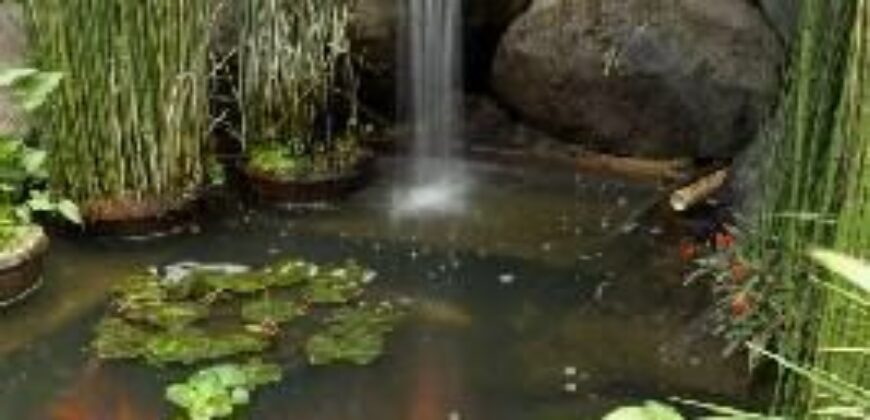 C222 – House For Rent 4 Bedrooms Unfurnished