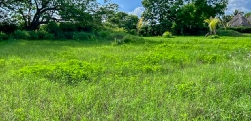 CS031 – Building lot in beach area in Iztapa