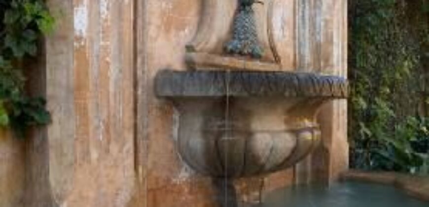 C222 – Casa En Renta 4 Habitaciones Sin Muebles