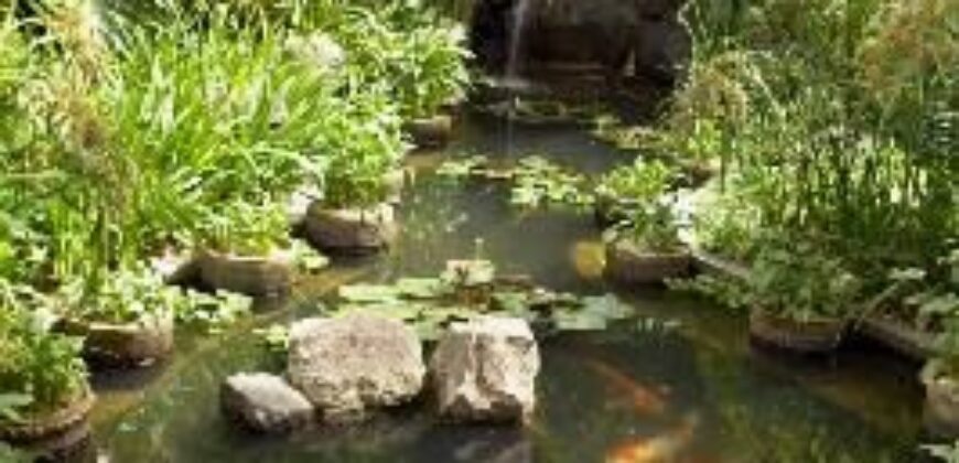 C222 – House For Rent 4 Bedrooms Unfurnished