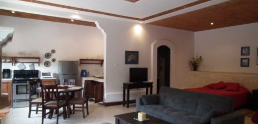 A527 – Apartment For Rent 1 Bedroom Furnished