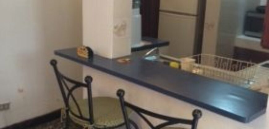 A214 – 1 bedroom apartment furnished