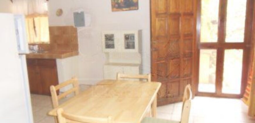 A161 – 1 bedroom apartment furnished