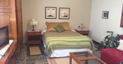 A214 – 1 bedroom apartment furnished