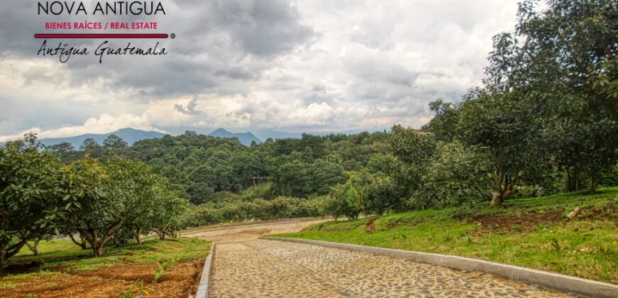 EH217 – Exclusive proyect in Aldea el Hato