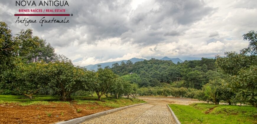 EH217 – Exclusive proyect in Aldea el Hato