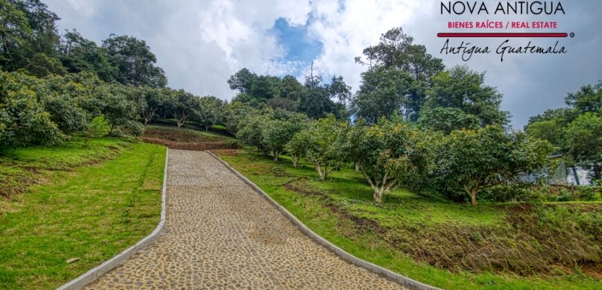 EH217 – Exclusive proyect in Aldea el Hato