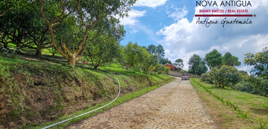 EH217 – Exclusive proyect in Aldea el Hato