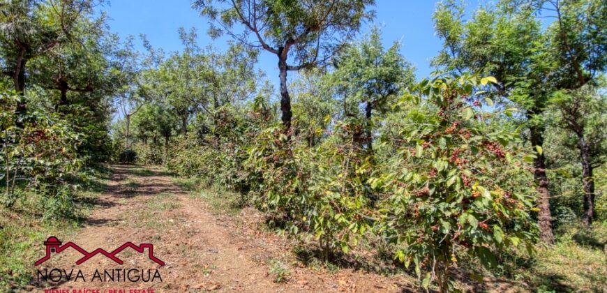 J105 – Large land for development in San Miguel Escobar