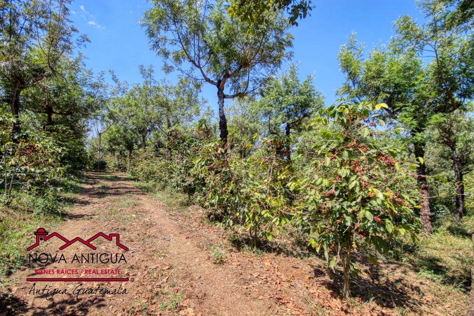 J105 – Large land for development in San Miguel Escobar