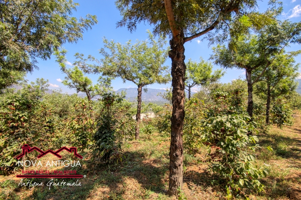J105 – Amplio terreno en San Miguel Escobar