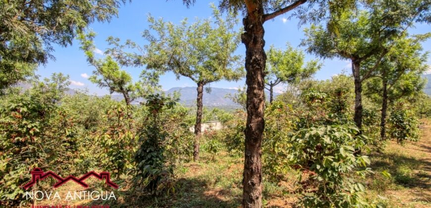J105 – Large land for development in San Miguel Escobar