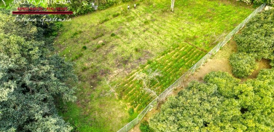 EH218 – Land in the Hato area