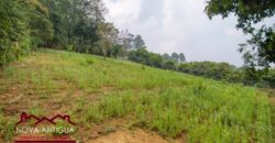 EH218 – Land in the Hato area