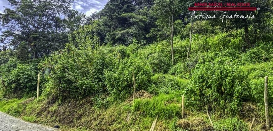 SL410 – Amplio terreno en el area de San Lucas