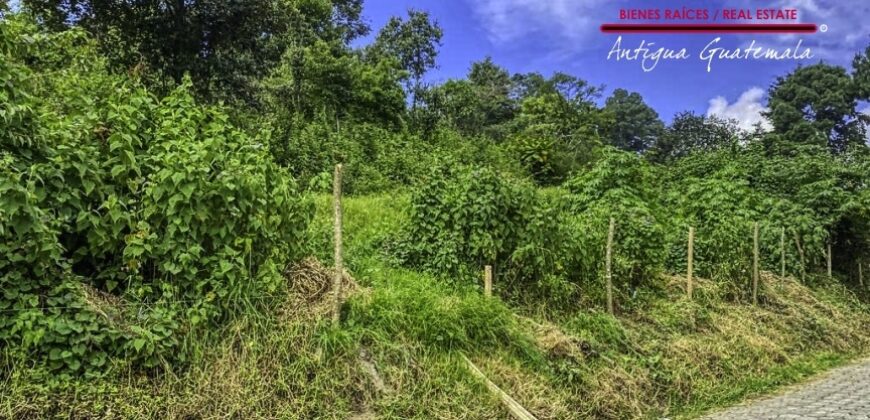 SL410 – Amplio terreno en el area de San Lucas