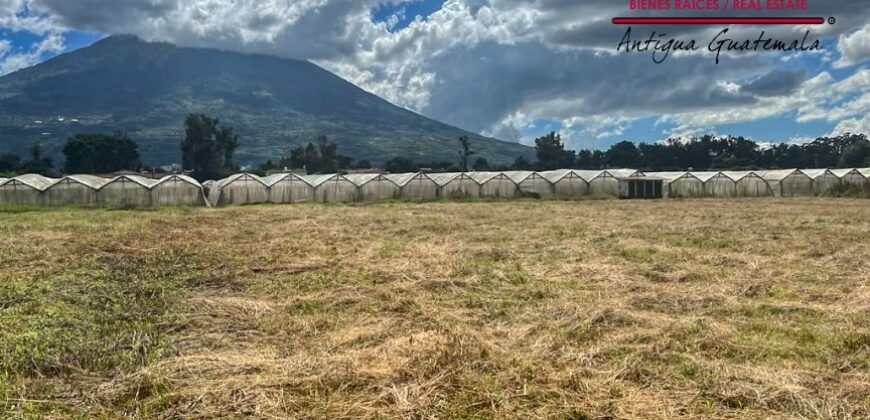 P305 – Land for rent in San Bartolome Becerra