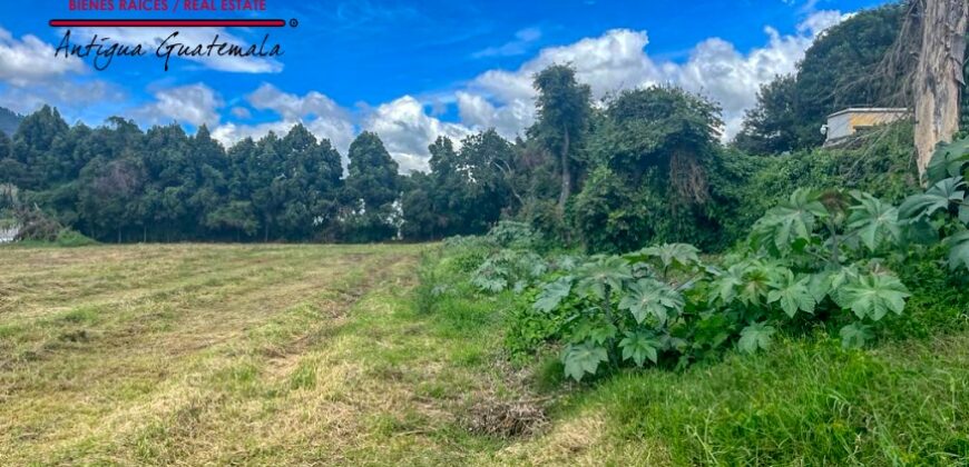 P305 – Terreno en renta en el area de San Bartolome Becerra