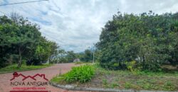 T447 – Terreno plano en residencial