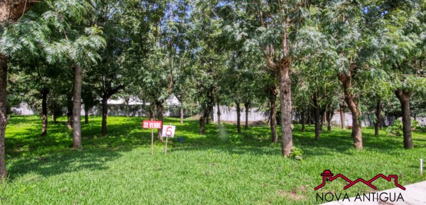 I479 – Terrenos en venta totalmente plano