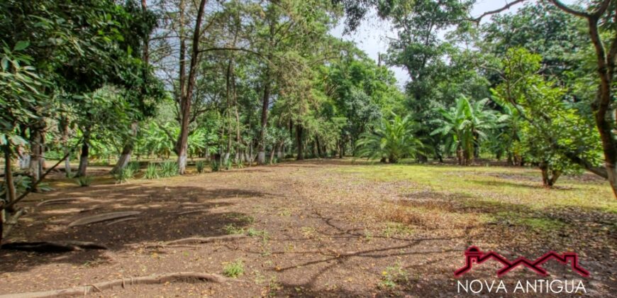 G42 – Land in San Felipe de Jesus