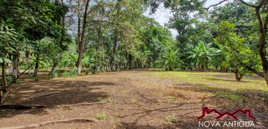 G42 – Terreno en el area de San Felipe de Jesus