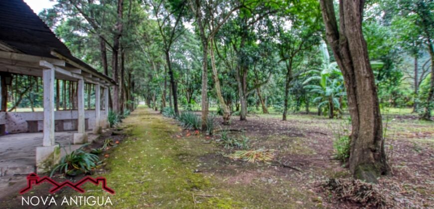 G42 – Land in San Felipe de Jesus