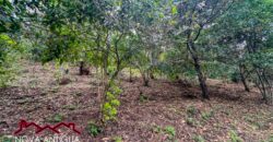 EH556- Land for sale in the Guardiania area