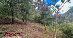 EH556- Land for sale in the Guardiania area