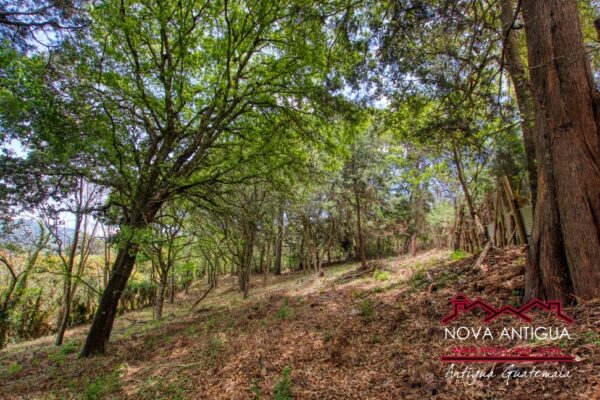 SL411 – Land in the San Lucas Sacatepequez area