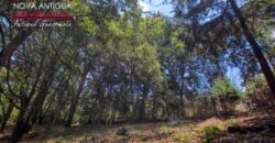SL411 – Land in the San Lucas Sacatepequez area