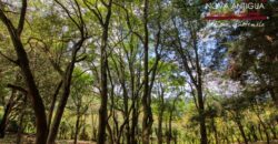 SL411 – Land in the San Lucas Sacatepequez area