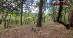 SL411 – Land in the San Lucas Sacatepequez area