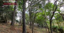 SL411 – Land in the San Lucas Sacatepequez area