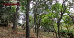 SL411 – Terreno en el area de San Lucas Sacatepequez