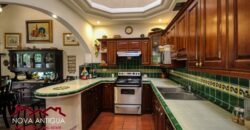 A4231 – Beautiful house within walking distance of Central Park