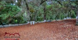 SL29 – Terreno rústico dentro de residencial